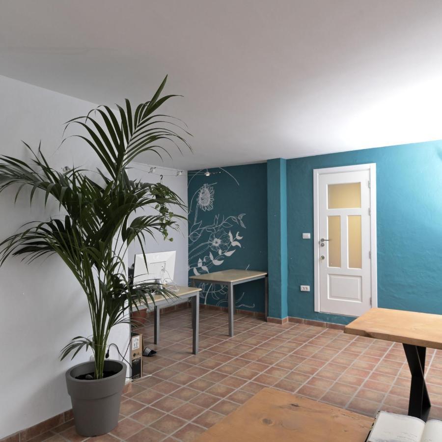 Hostel Los Amigos Yoga & Wellness La Mareta エクステリア 写真