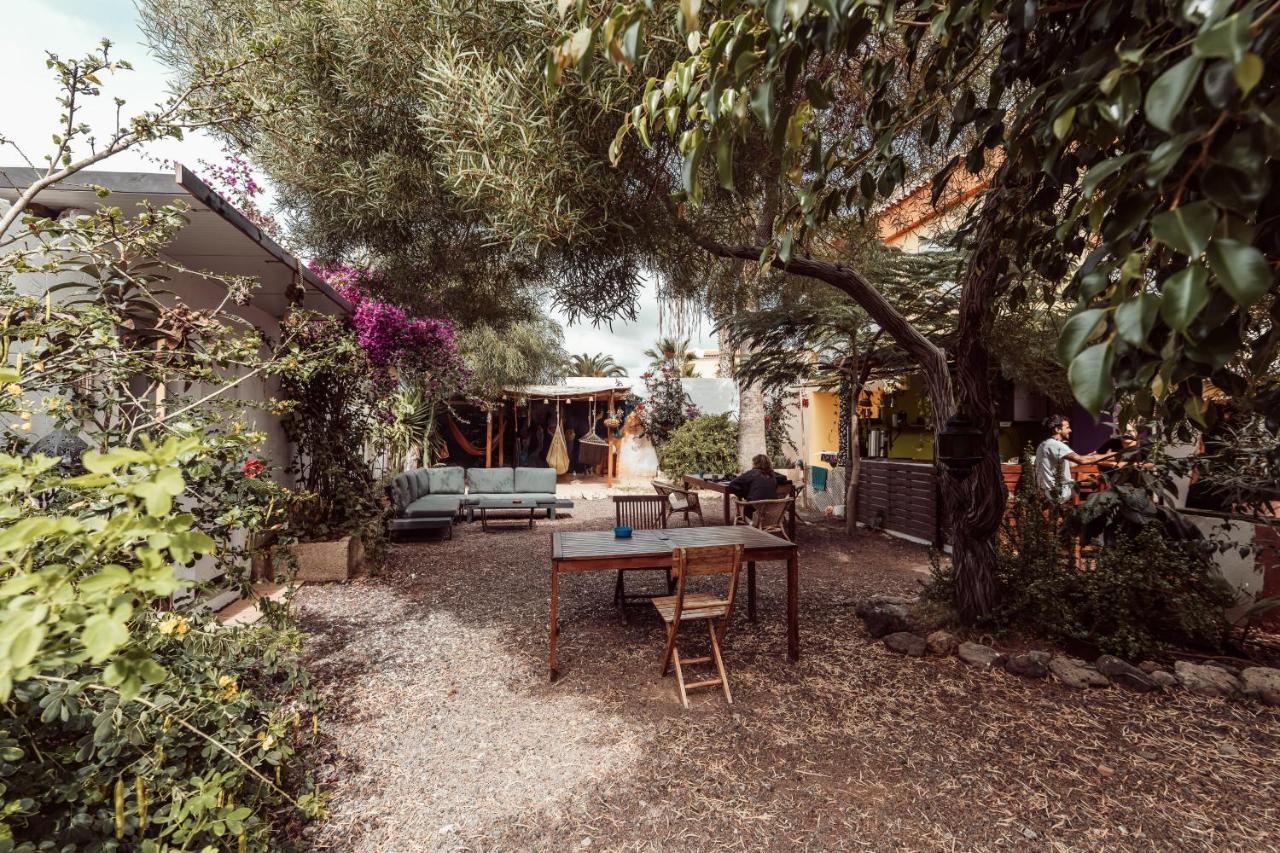 Hostel Los Amigos Yoga & Wellness La Mareta エクステリア 写真